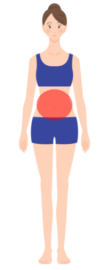 腸活・腹部調整法の位置